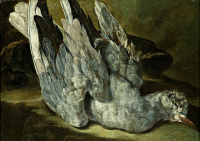 0237_200_200.png 